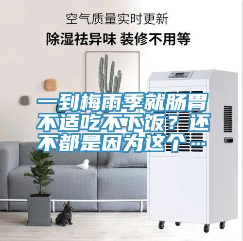 一到梅雨季就腸胃不適吃不下飯？還不都是因?yàn)檫@個(gè)…