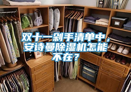 雙十一剁手清單中，安詩曼除濕機怎能不在？