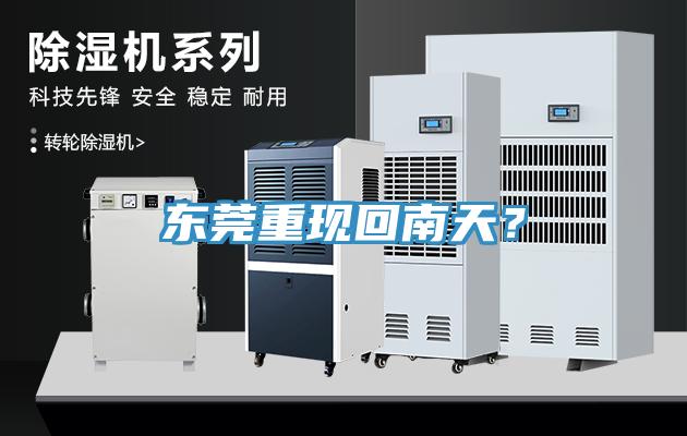 東莞重現回南天？