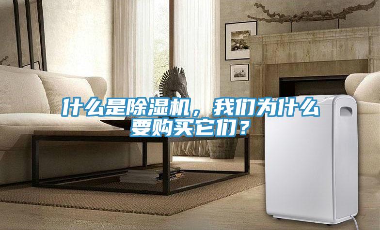 什么是除濕機(jī)，我們?yōu)槭裁匆徺I它們？