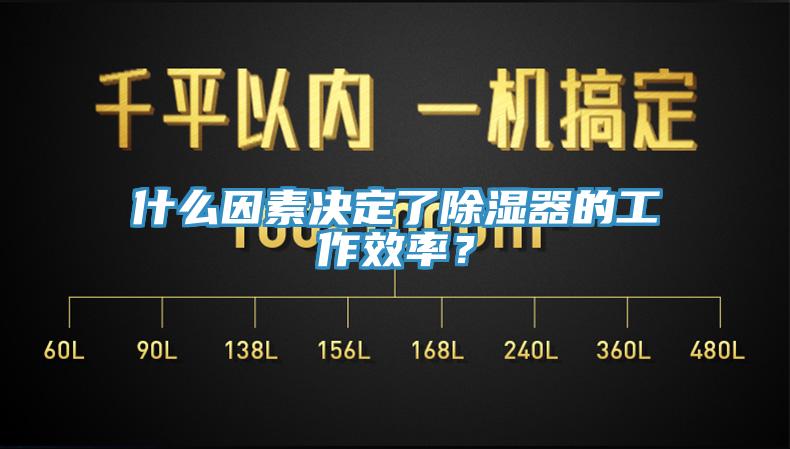 什么因素決定了除濕器的工作效率？