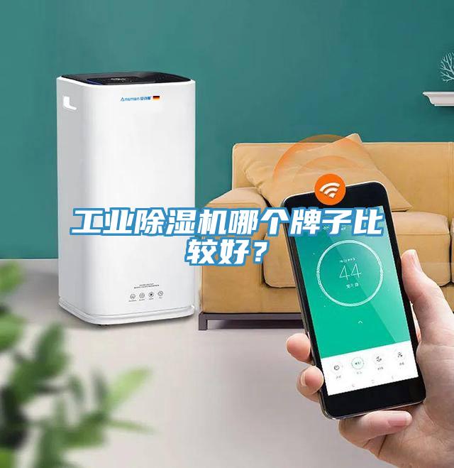 工業(yè)除濕機(jī)哪個(gè)牌子比較好？