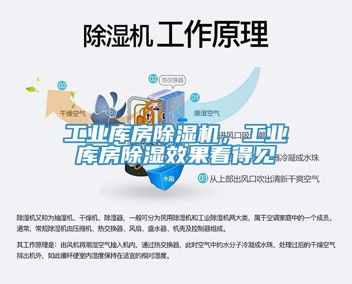 工業(yè)庫(kù)房除濕機(jī)，工業(yè)庫(kù)房除濕效果看得見