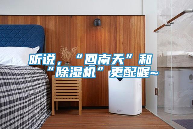 聽說，“回南天”和“除濕機”更配喔~