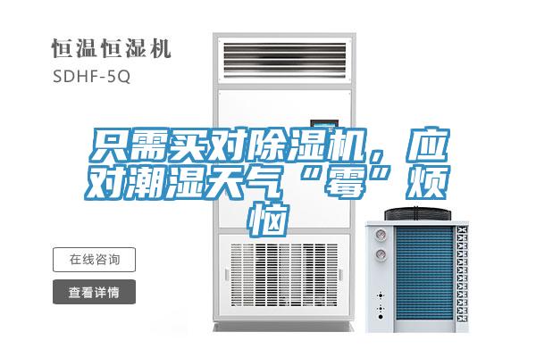 只需買對除濕機，應對潮濕天氣“霉”煩惱