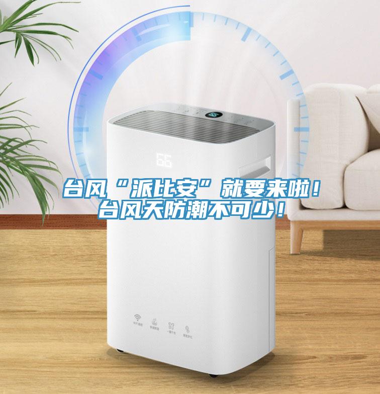 臺風“派比安”就要來啦！臺風天防潮不可少！