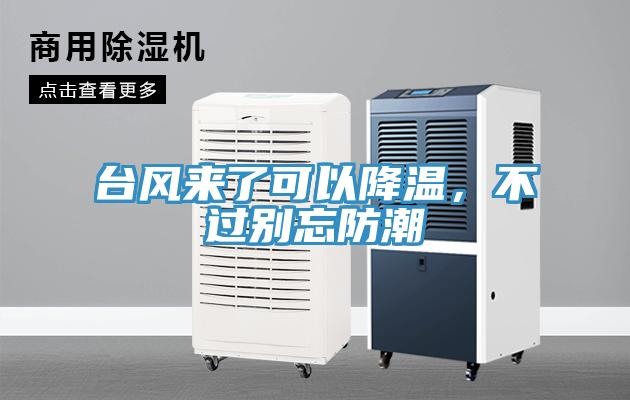 臺風來了可以降溫，不過別忘防潮