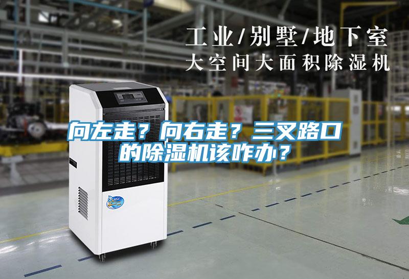 向左走？向右走？三叉路口的除濕機該咋辦？