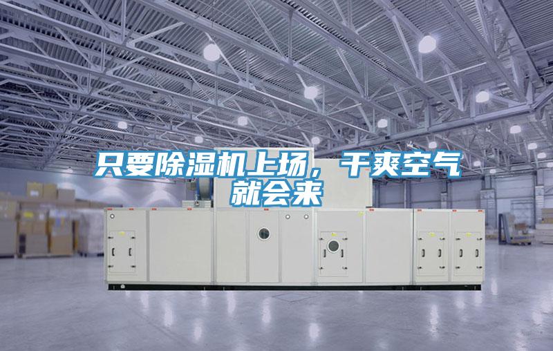 只要除濕機上場，干爽空氣就會來