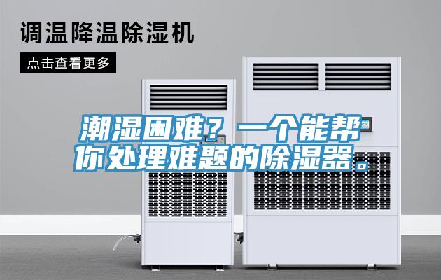 潮濕困難？一個能幫你處理難題的除濕器。