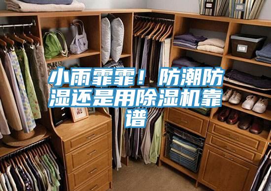 小雨霏霏！防潮防濕還是用除濕機靠譜
