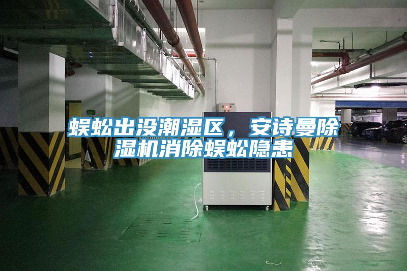蜈蚣出沒潮濕區，安詩曼除濕機消除蜈蚣隱患