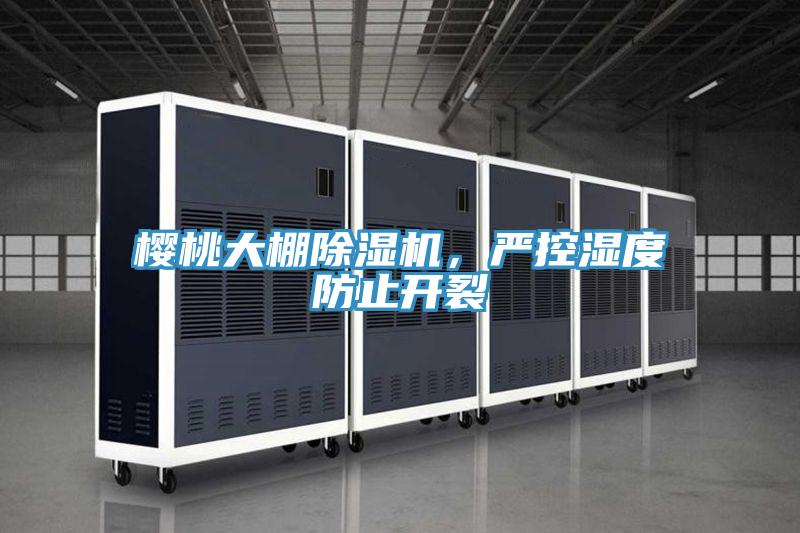 櫻桃大棚除濕機，嚴控濕度防止開裂