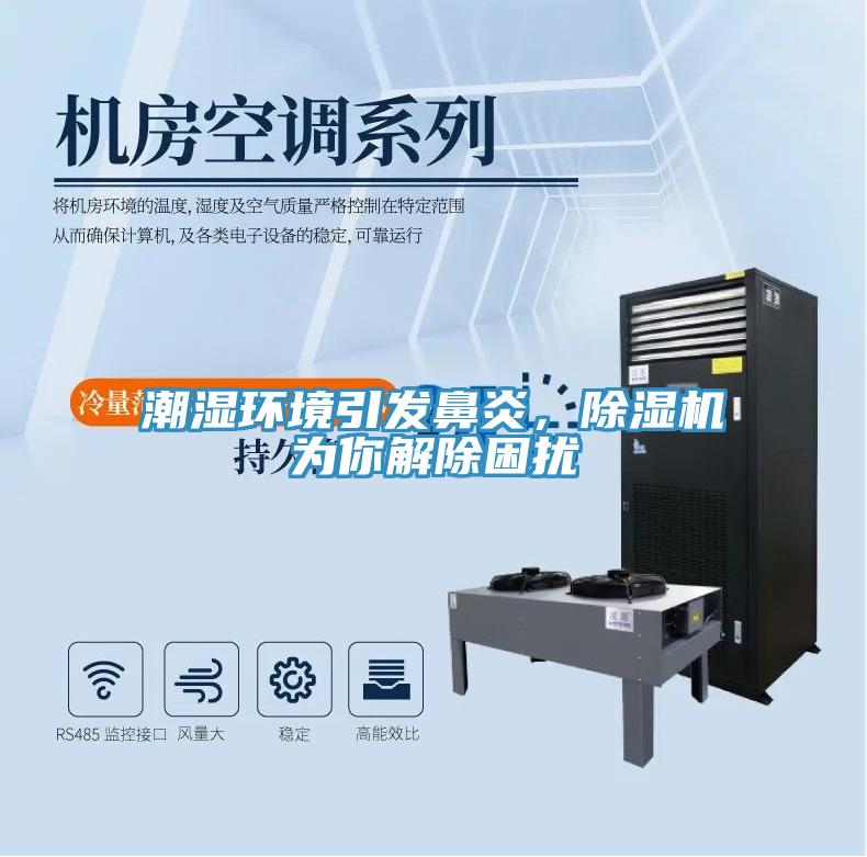 潮濕環(huán)境引發(fā)鼻炎，除濕機(jī)為你解除困擾