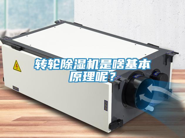 轉輪除濕機是啥基本原理呢？