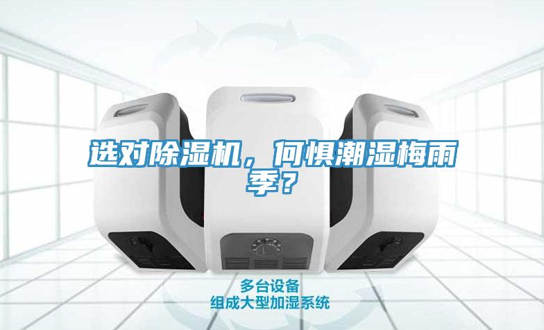 選對除濕機，何懼潮濕梅雨季？