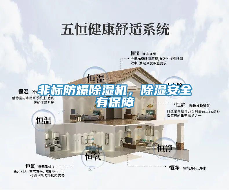 非標(biāo)防爆除濕機(jī)，除濕安全有保障