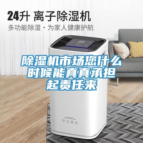 除濕機市場您什么時候能真真承擔(dān)起責(zé)任來