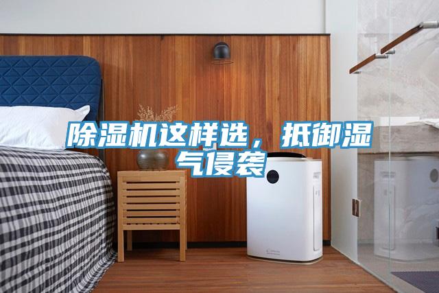 除濕機這樣選，抵御濕氣侵襲