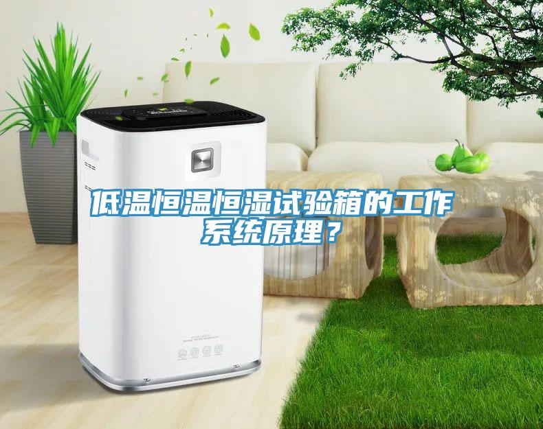 低溫恒溫恒濕試驗箱的工作系統(tǒng)原理？