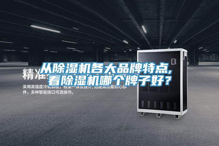 從除濕機(jī)各大品牌特點(diǎn), 看除濕機(jī)哪個(gè)牌子好？