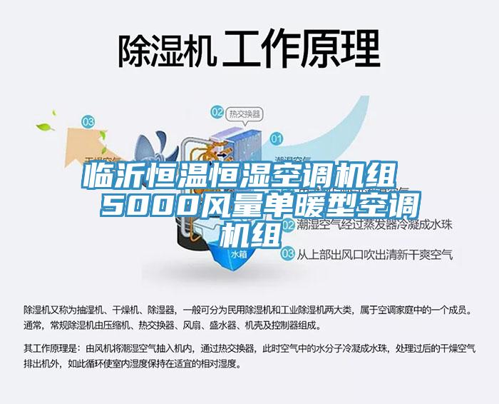 臨沂恒溫恒濕空調(diào)機組  5000風(fēng)量單暖型空調(diào)機組
