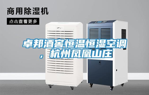 卓邦酒窖恒溫恒濕空調(diào)，杭州鳳凰山莊