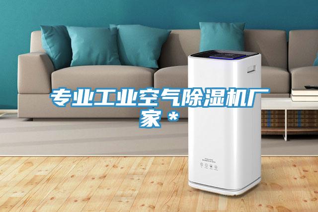 專(zhuān)業(yè)工業(yè)空氣除濕機(jī)廠(chǎng)家＊