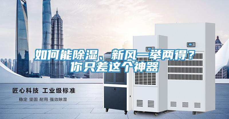如何能除濕、新風一舉兩得？你只差這個神器