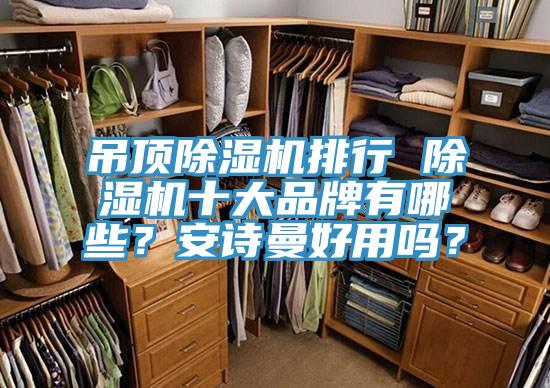 吊頂除濕機排行 除濕機十大品牌有哪些？安詩曼好用嗎？