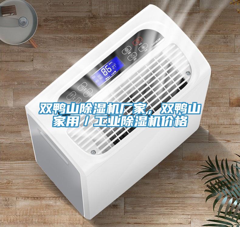 雙鴨山除濕機廠家，雙鴨山家用／工業除濕機價格