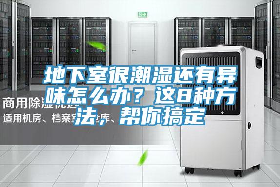 地下室很潮濕還有異味怎么辦？這8種方法，幫你搞定