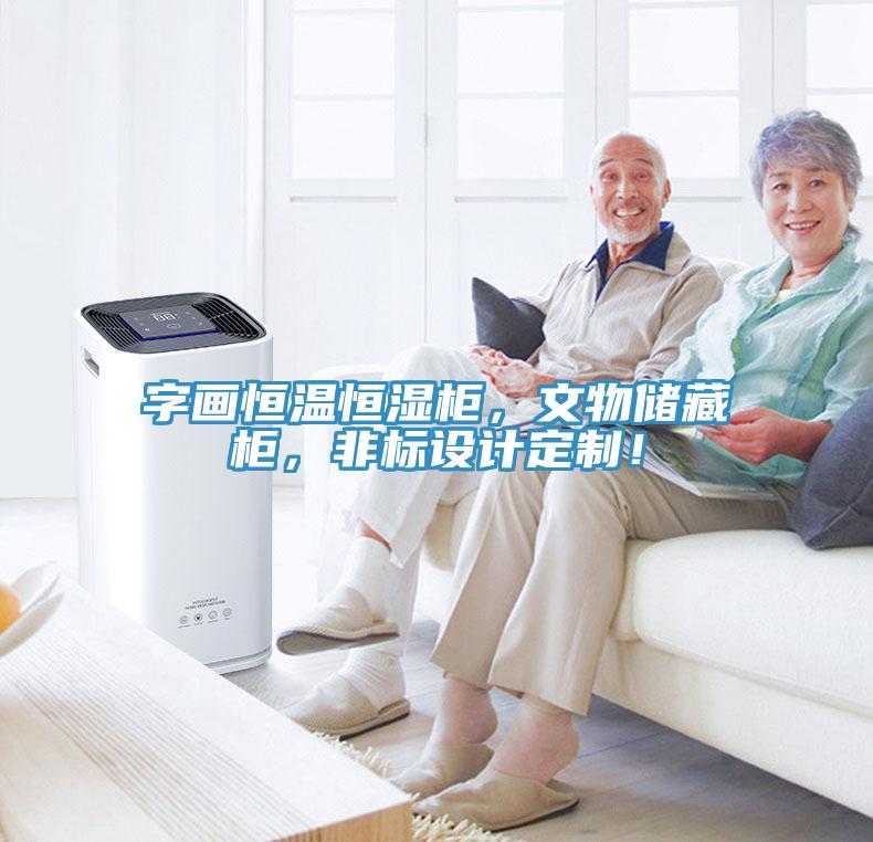 字畫恒溫恒濕柜，文物儲藏柜，非標設計定制！