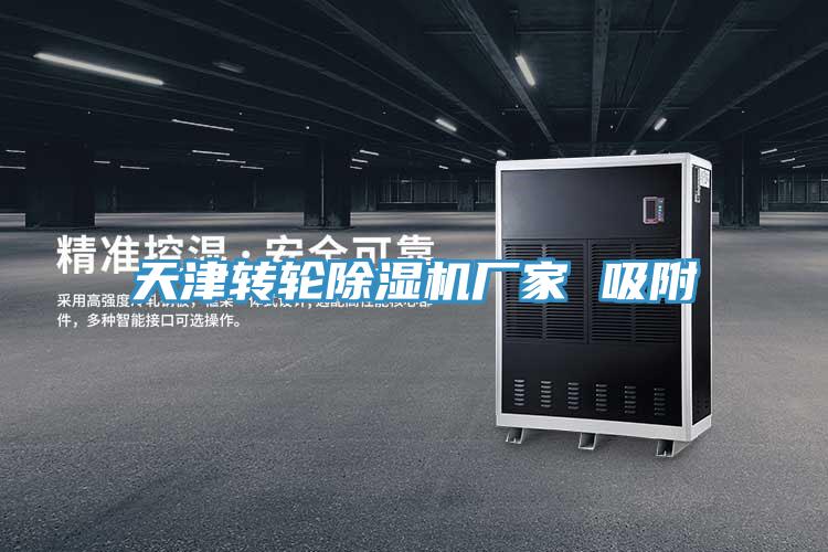 天津轉(zhuǎn)輪除濕機(jī)廠(chǎng)家 吸附