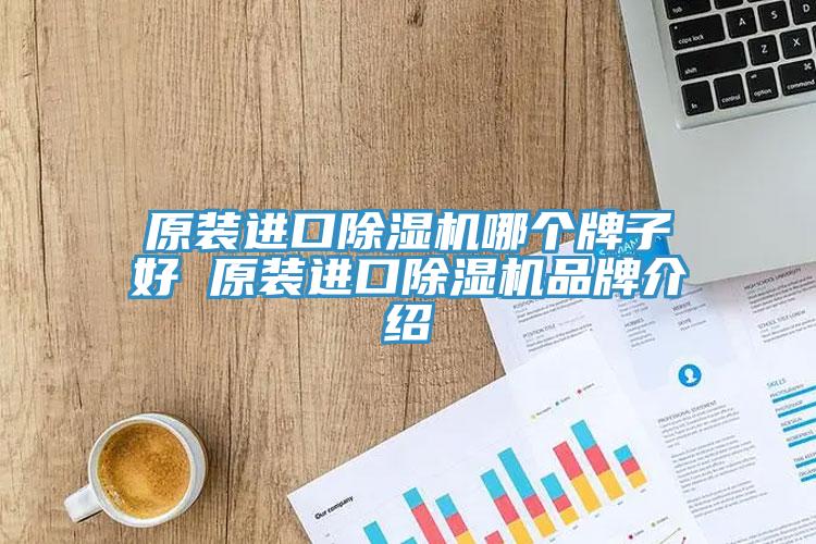 原裝進(jìn)口除濕機(jī)哪個牌子好 原裝進(jìn)口除濕機(jī)品牌介紹