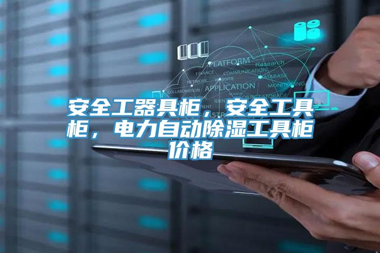 安全工器具柜，安全工具柜，電力自動除濕工具柜價格