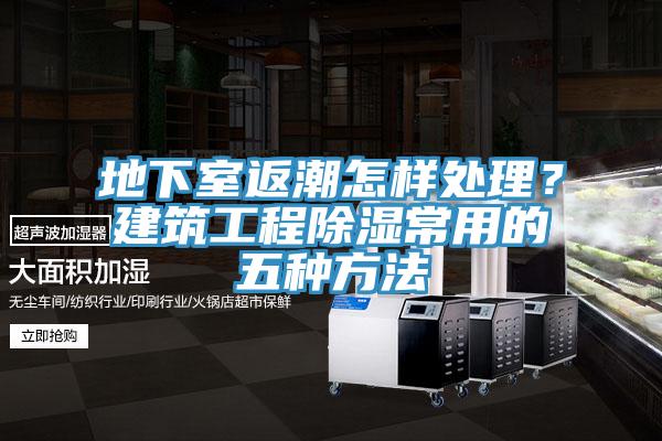 地下室返潮怎樣處理？建筑工程除濕常用的五種方法