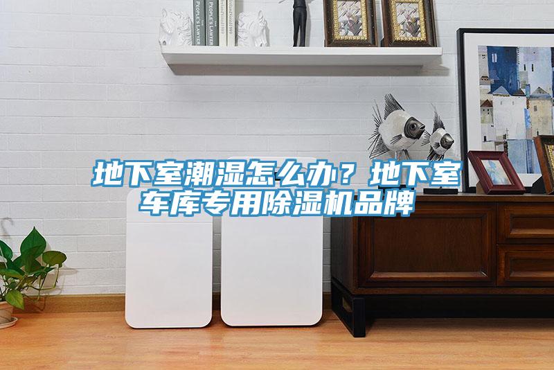 地下室潮濕怎么辦？地下室車庫(kù)專用除濕機(jī)品牌