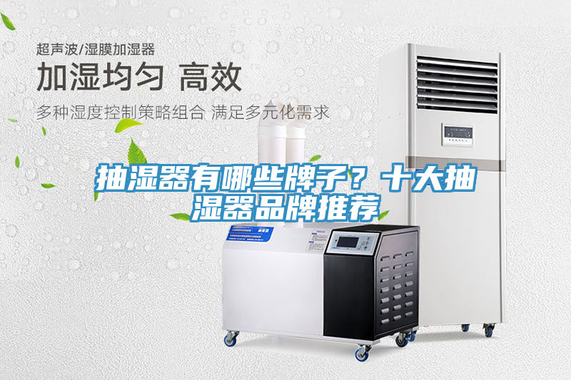 抽濕器有哪些牌子？十大抽濕器品牌推薦