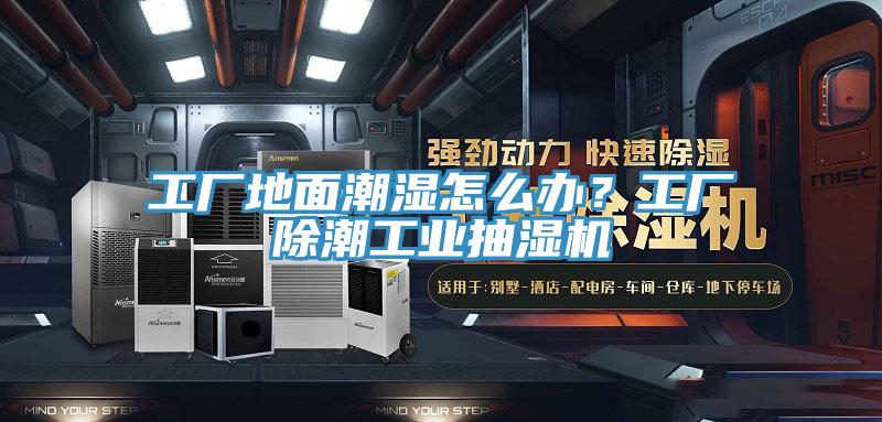 工廠地面潮濕怎么辦？工廠除潮工業(yè)抽濕機