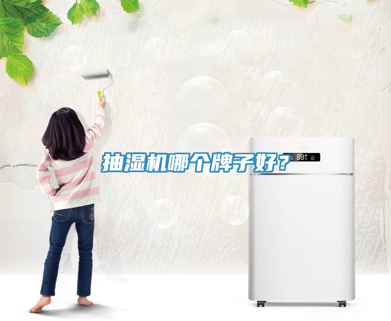 抽濕機(jī)哪個牌子好？