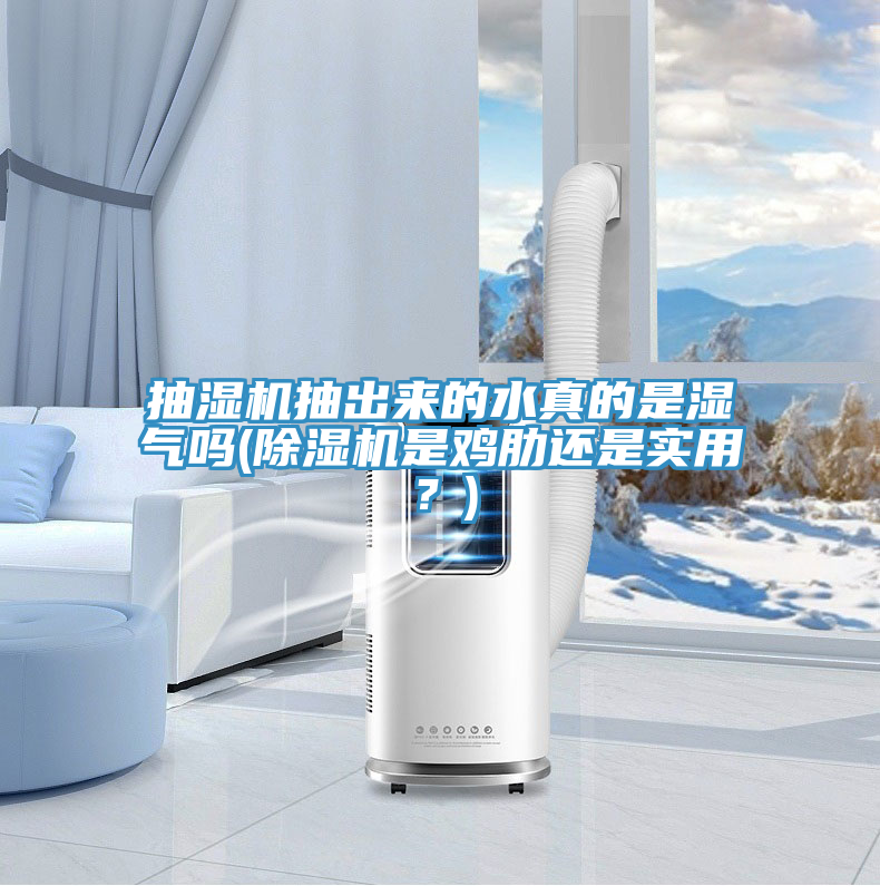 抽濕機抽出來的水真的是濕氣嗎(除濕機是雞肋還是實用？)