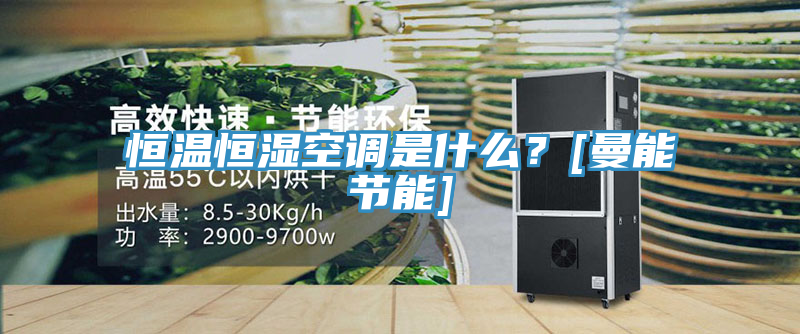 恒溫恒濕空調是什么？[曼能節能]