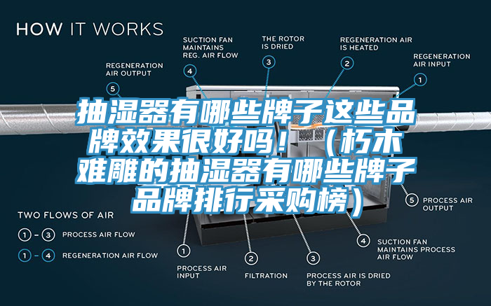 抽濕器有哪些牌子這些品牌效果很好嗎?。ㄐ嗄倦y雕的抽濕器有哪些牌子品牌排行采購榜）
