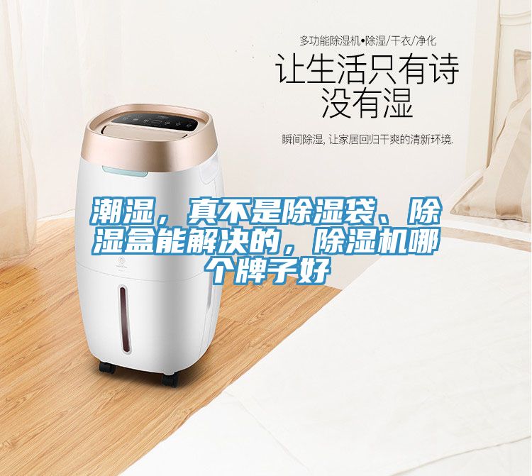 潮濕，真不是除濕袋、除濕盒能解決的，除濕機哪個牌子好