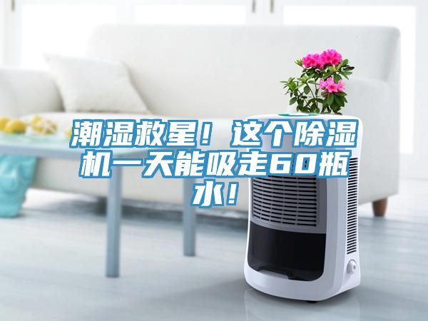 潮濕救星！這個除濕機一天能吸走60瓶水！