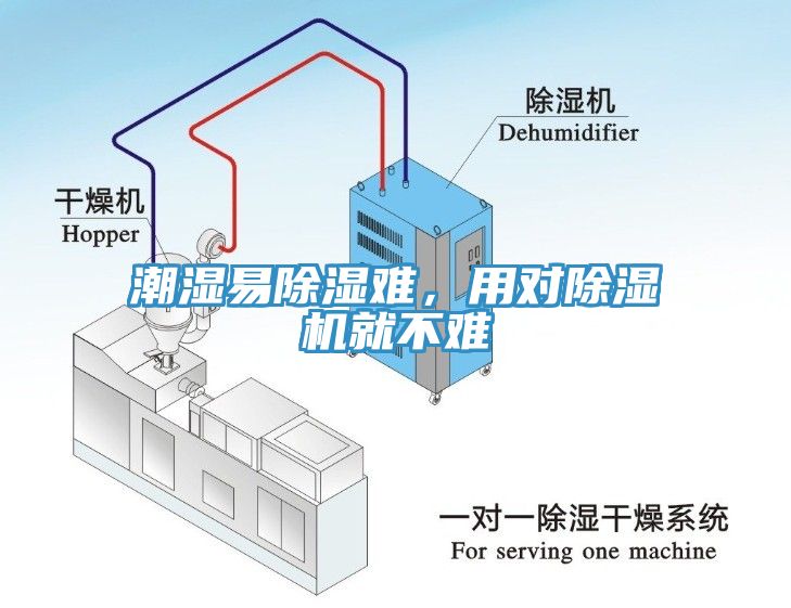 潮濕易除濕難，用對除濕機就不難