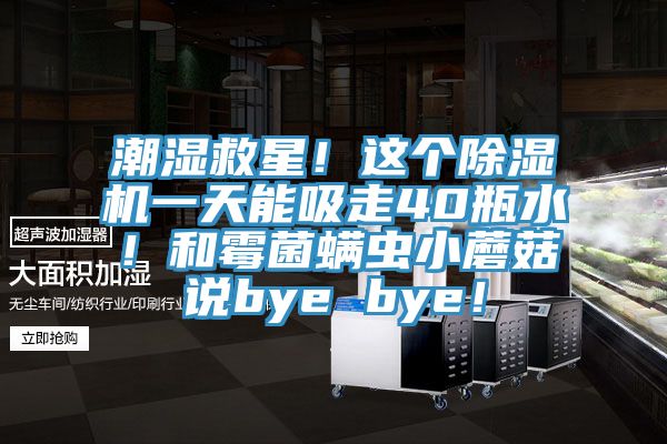 潮濕救星！這個除濕機一天能吸走40瓶水！和霉菌螨蟲小蘑菇說bye bye！