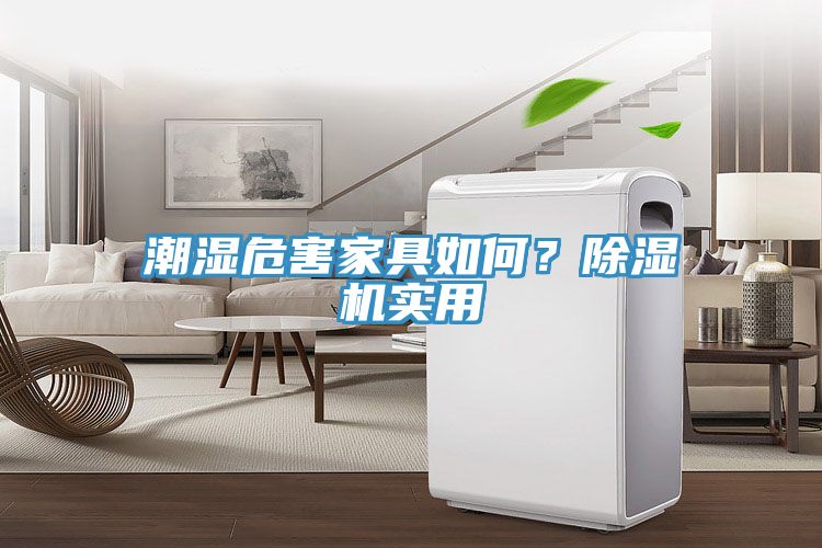 潮濕危害家具如何？除濕機實用