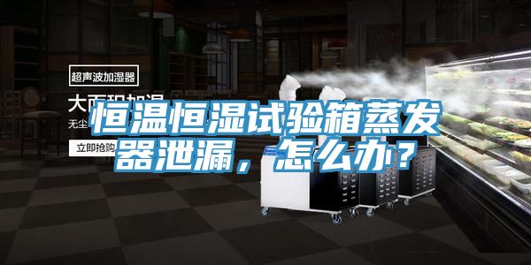 恒溫恒濕試驗(yàn)箱蒸發(fā)器泄漏，怎么辦？
